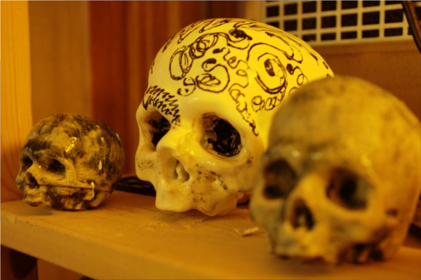 Metrix ceramic skulls