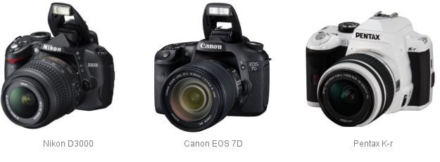 Example DSLR Cameras | Understanding Photography 
